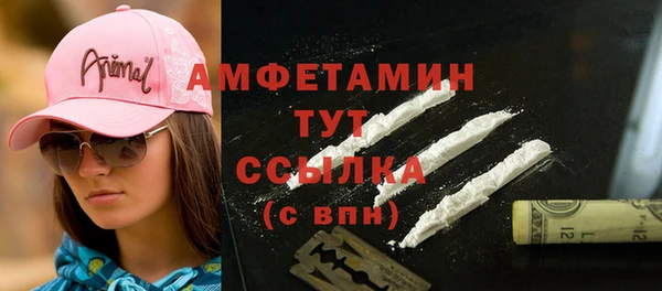прущие грибы Аркадак