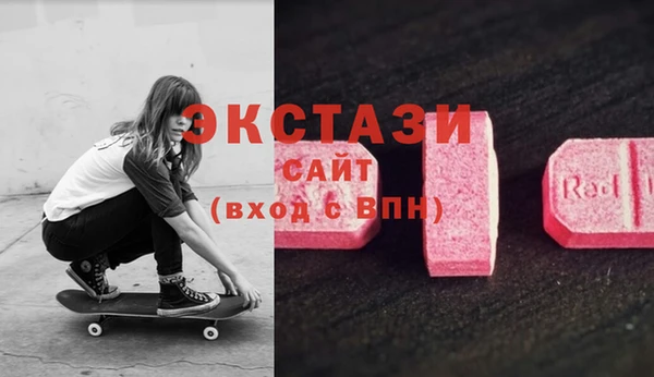 прущие грибы Аркадак