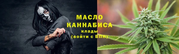 прущие грибы Аркадак