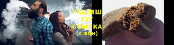 прущие грибы Михайлов