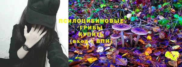 прущие грибы Аркадак