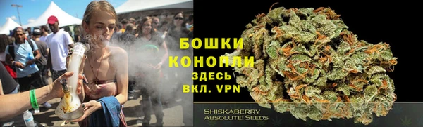 винт Арсеньев