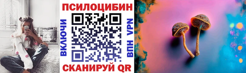Псилоцибиновые грибы MAGIC MUSHROOMS  Суджа 